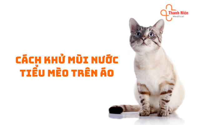 Cách khử mùi nước tiểu mèo trên quần áo