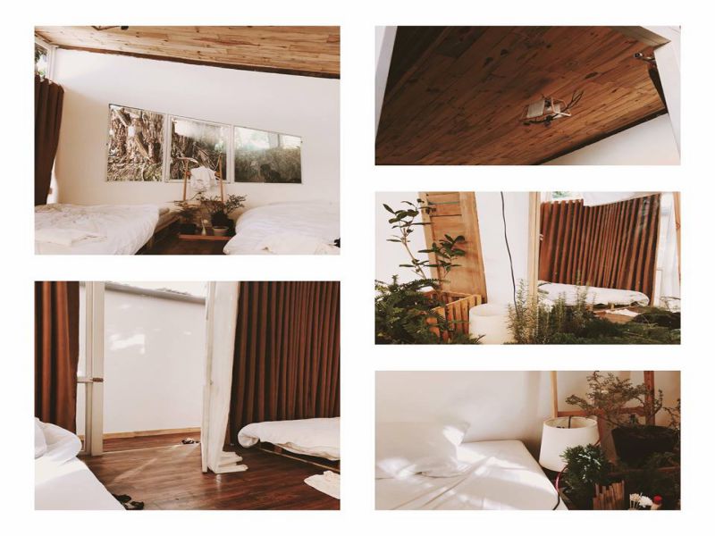 The Wider Nest homestay đà lạt