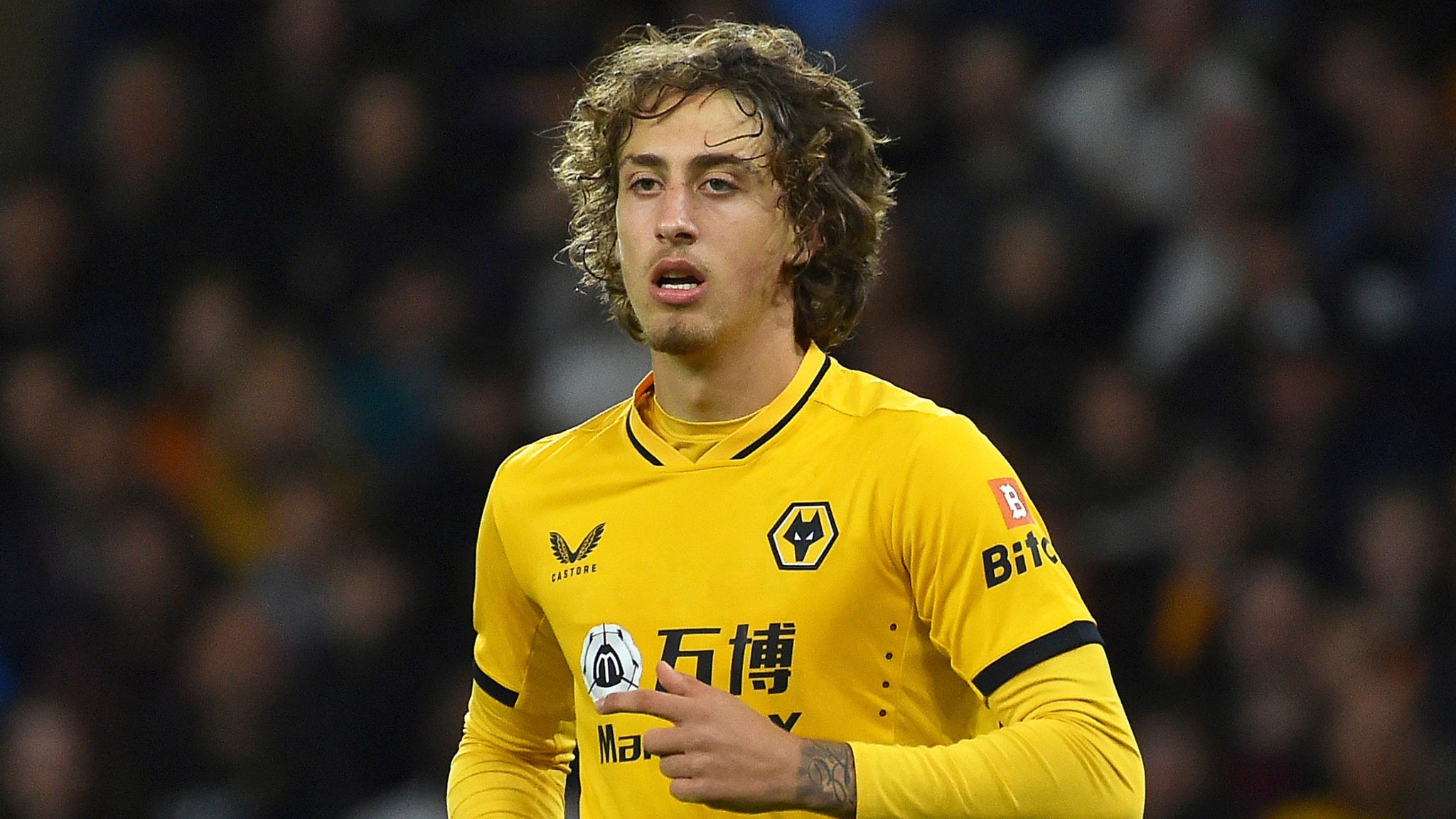 Fabio Silva on loan to Anderlecht: Wolves' record signing is still young but his time at Molineux has not been easy | Football News | Sky Sports