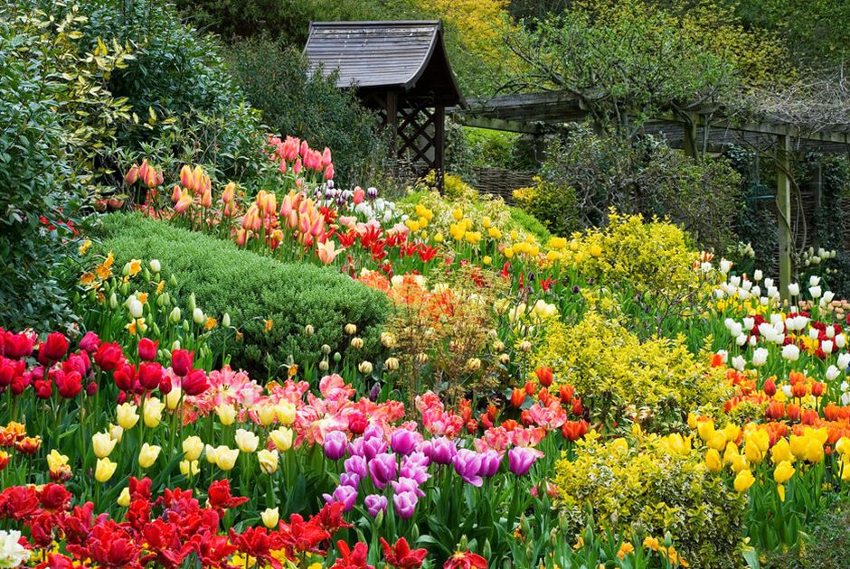 Vườn hoa Bích Câu Đà Lạt - Dalat Flower Garden | Yeudulich