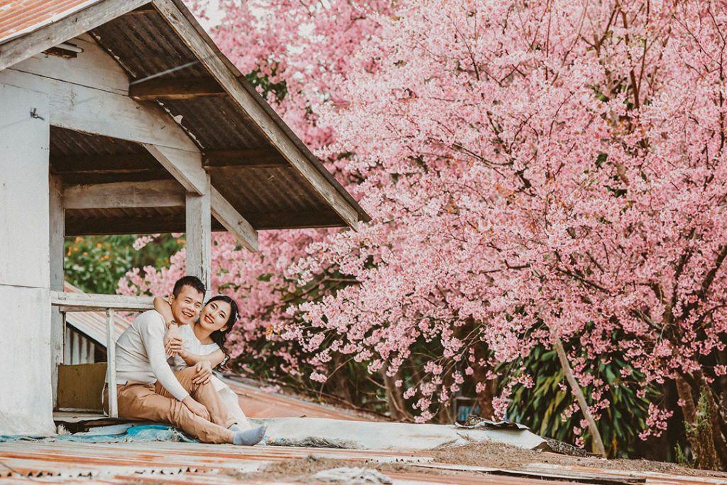 XẾP HẠNG #16 studio chụp ảnh cưới đẹp nổi tiếng ở Đà LạtEdnaresortDalat