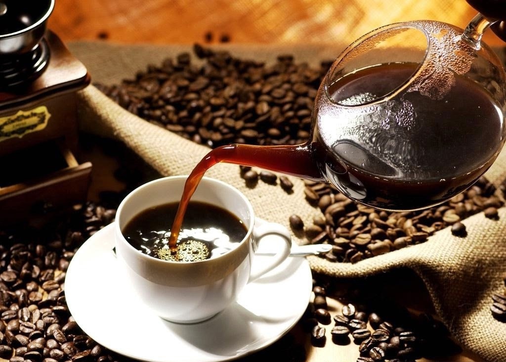 Tham quan trang trại cà phê chồn Đà Lạt - địa điểm sản xuất đặc sản nổi tiếng khắp cả nước