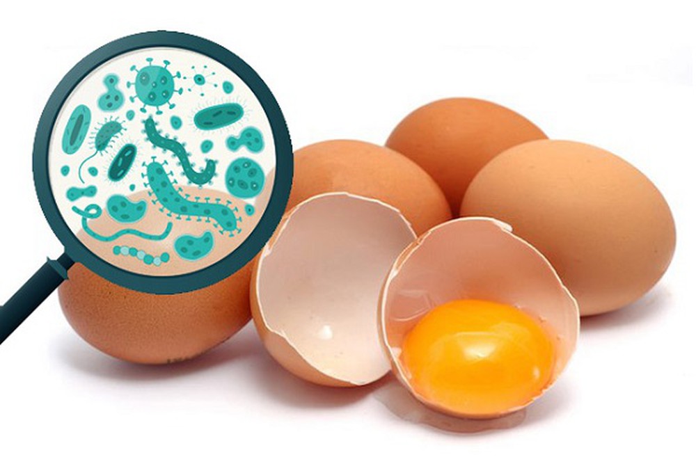 Vi khuẩn salmonella trong trứng là loại vi khuẩn gây nguy cơ tiêu chảy